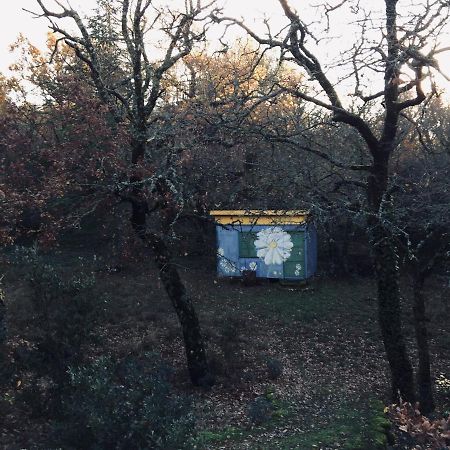 La Maison De Mado Et Sa Cabane Dans Les Arbres Plan d'Aups Luaran gambar