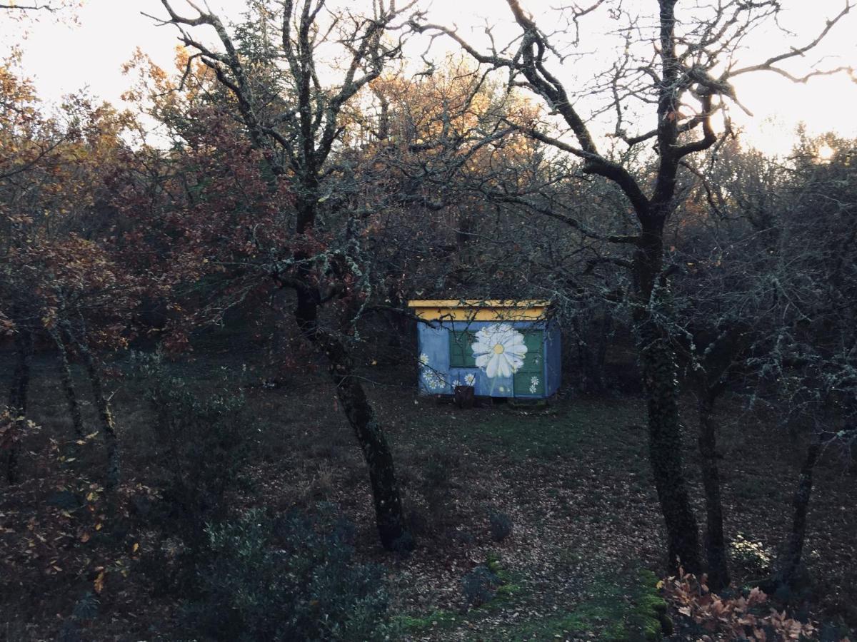 La Maison De Mado Et Sa Cabane Dans Les Arbres Plan d'Aups Luaran gambar