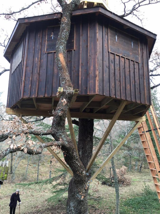La Maison De Mado Et Sa Cabane Dans Les Arbres Plan d'Aups Luaran gambar